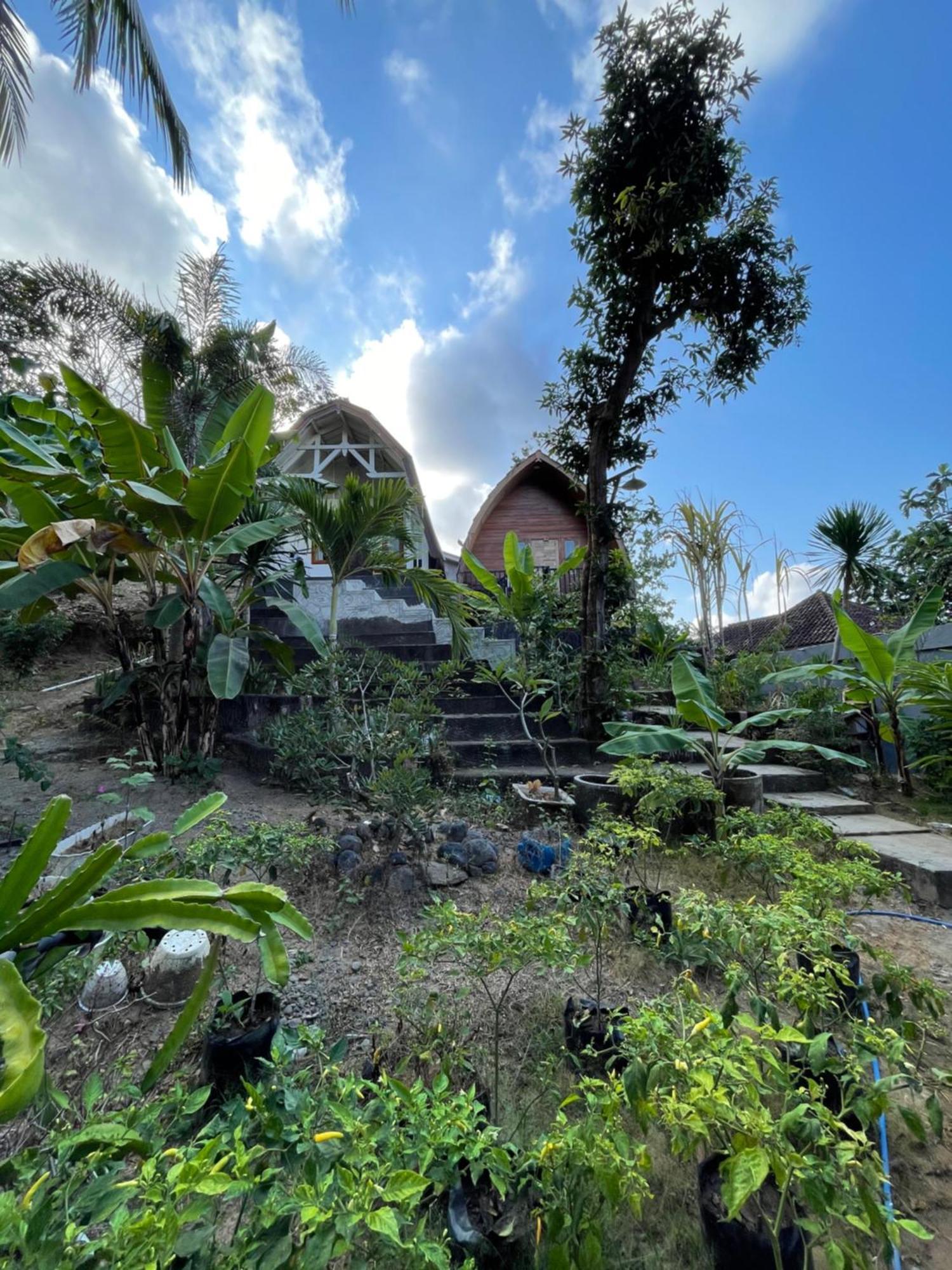 Tri Putri Homestay Kuta  Exteriör bild