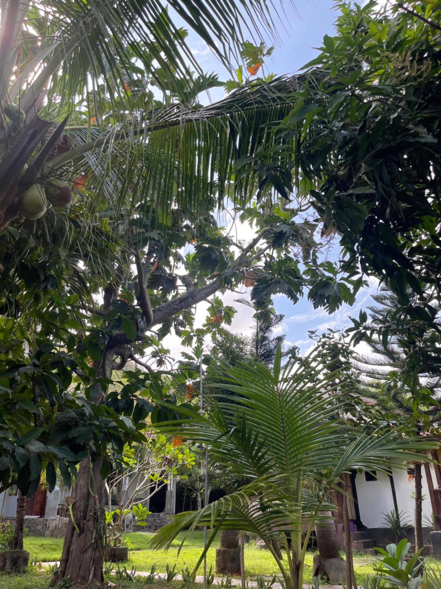 Tri Putri Homestay Kuta  Exteriör bild